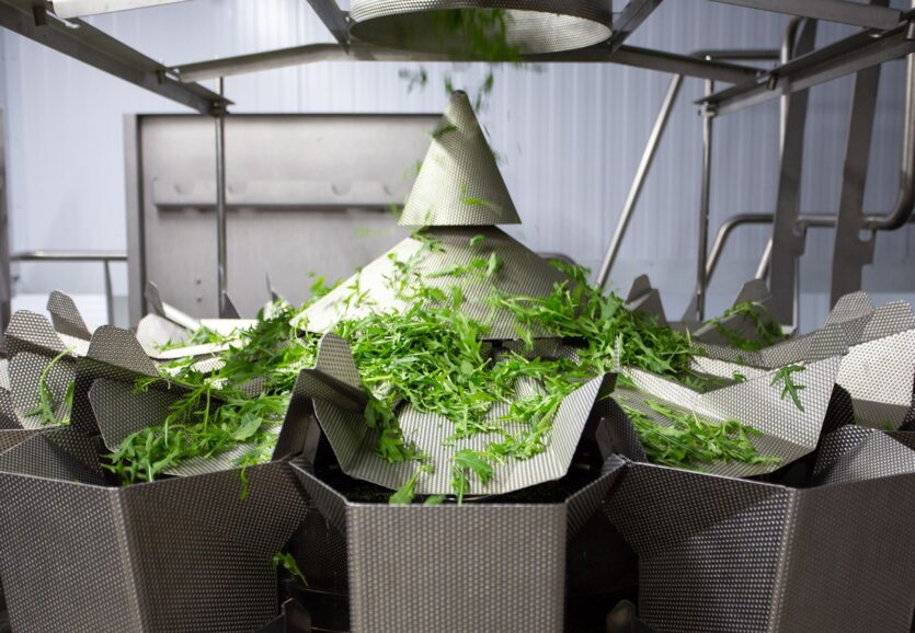 petr-magera-LjgdByZ8wYQ-unsplash petr-magera-LjgdByZ8wYQ-unsplash